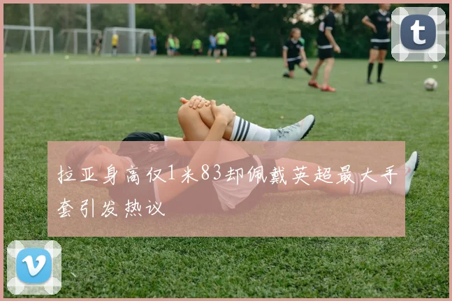 拉亚身高仅1米83却佩戴英超最大手套引发热议